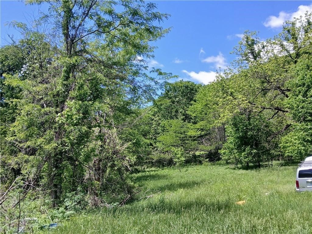 Property Photo: 642 County Road 605 AR 72638