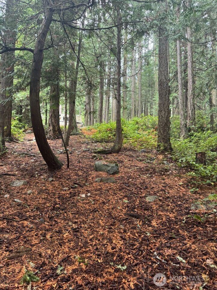 Property Photo:  0  Woodhaven Lane  WA 98261 