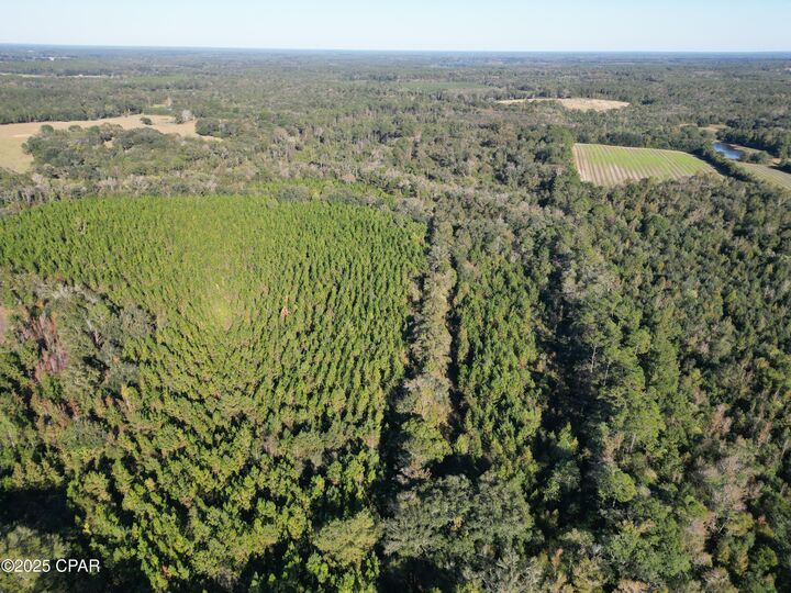 0000 Arrant Road  Westville FL 32464 photo