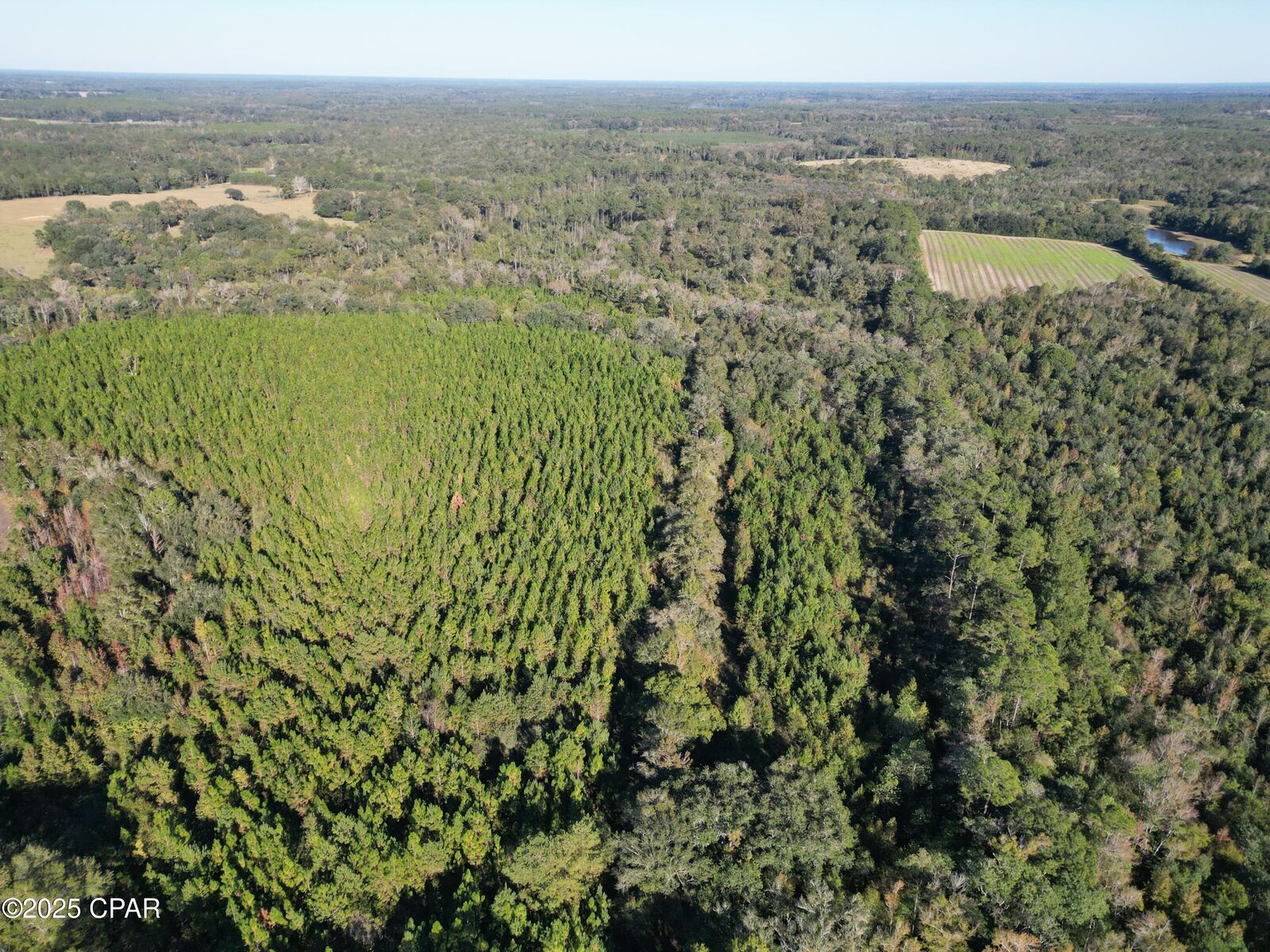 Property Photo: 0000 Arrant Road FL 32464