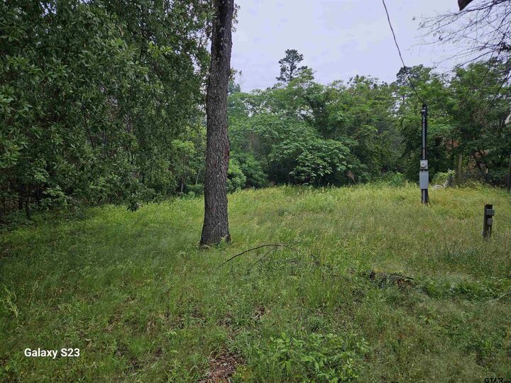 Property Photo: 17296 Oak Dr. TX 75771