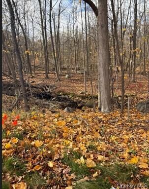 Property Photo:  1 S Airmont Road  NY 10901 