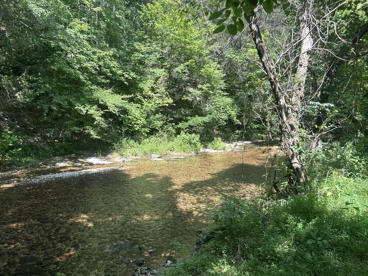 Property Photo:  1775 Old Beech Creek Rd  TN 38485 