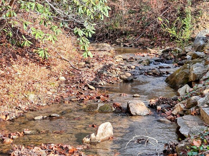 Property Photo: 164 Bear Bend GA 30512