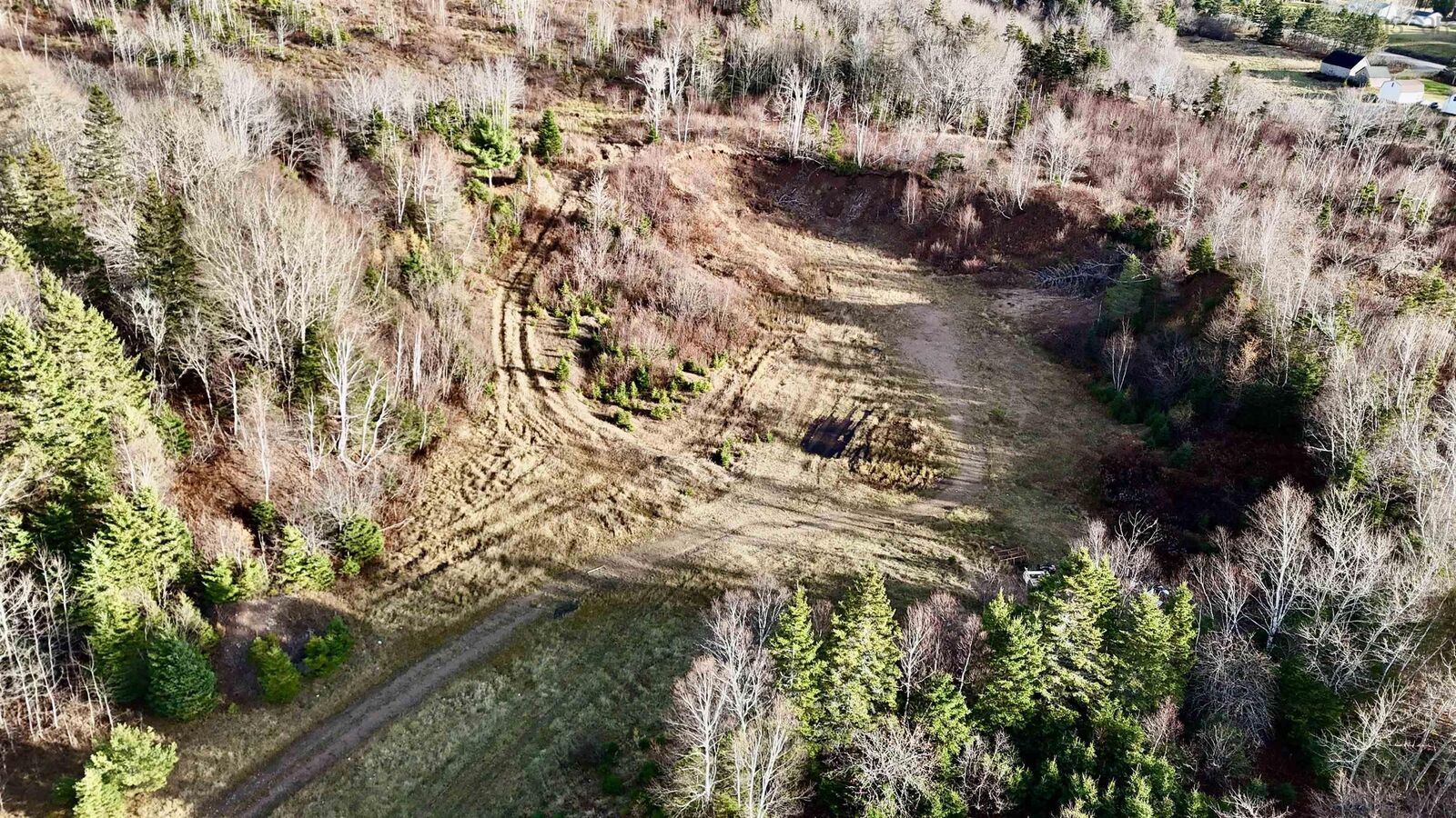 Property Photo:  Big Brook Road  NS B0E 3L0 