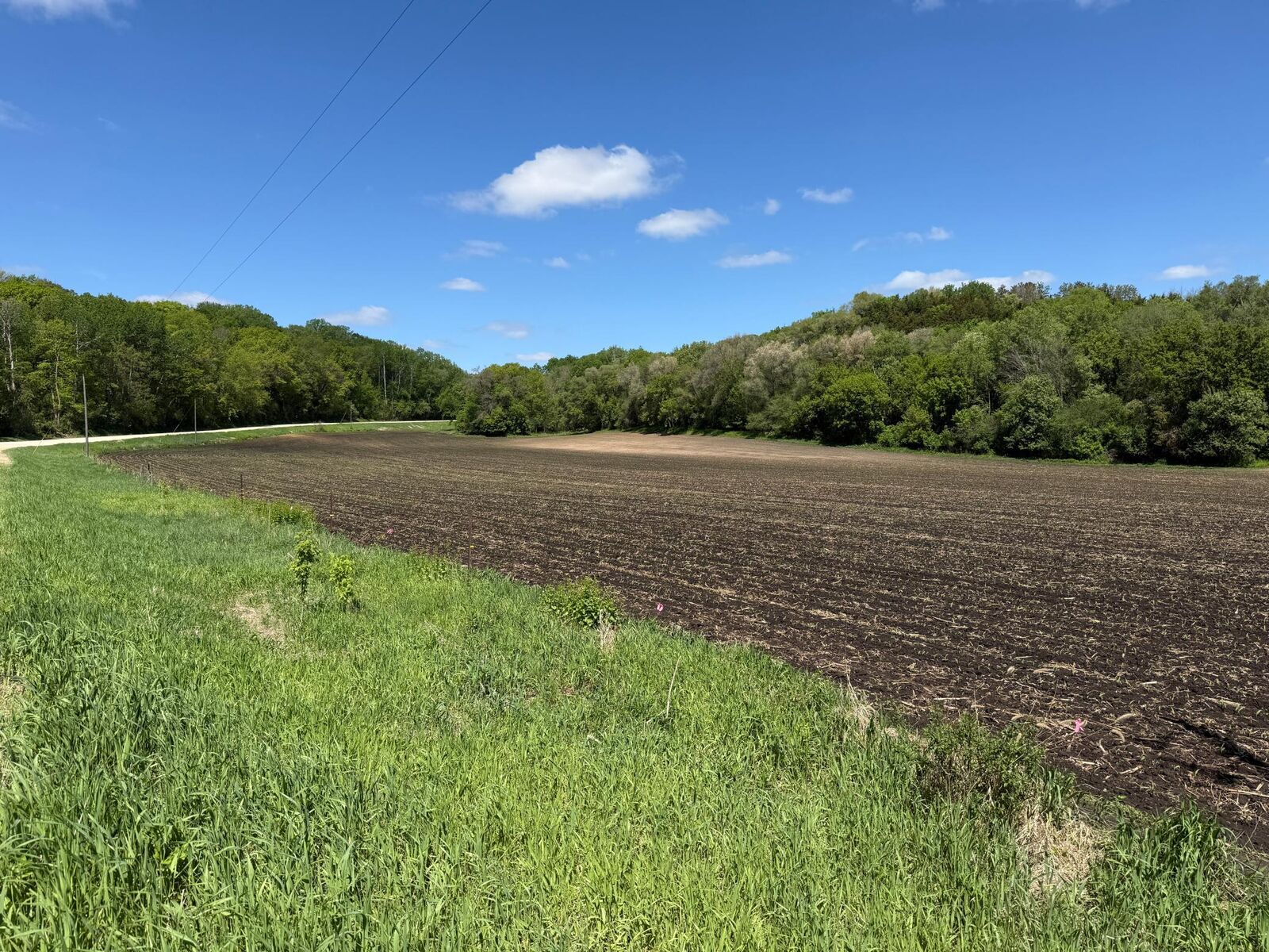 Property Photo: 19xx 65th St NE MN 55906