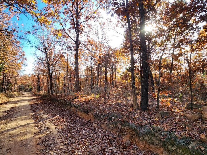 Cr 18  Compton AR 72624 photo