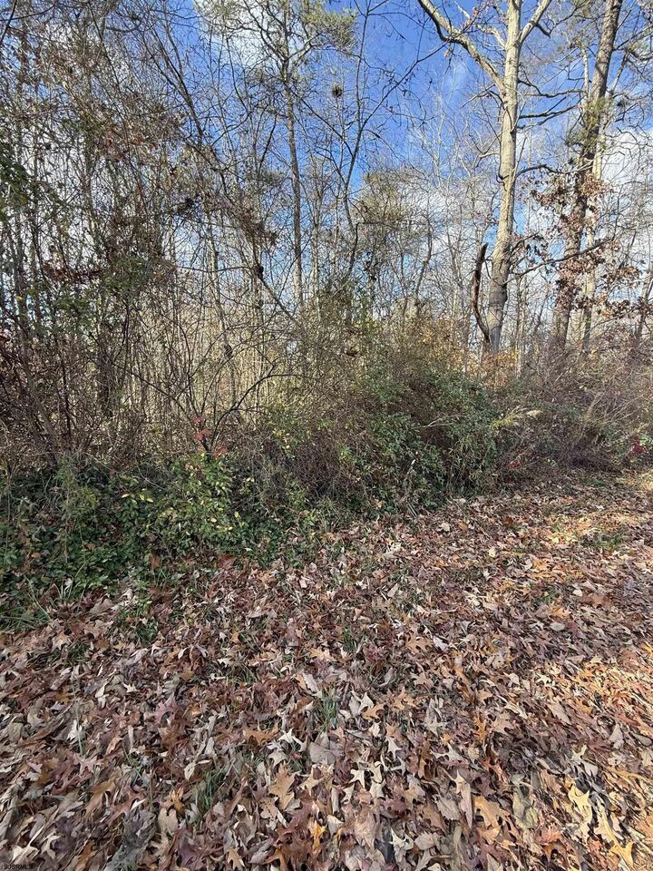 Property Photo:  155-161 Spring Road Commercial Twp  NJ 08332-0000 