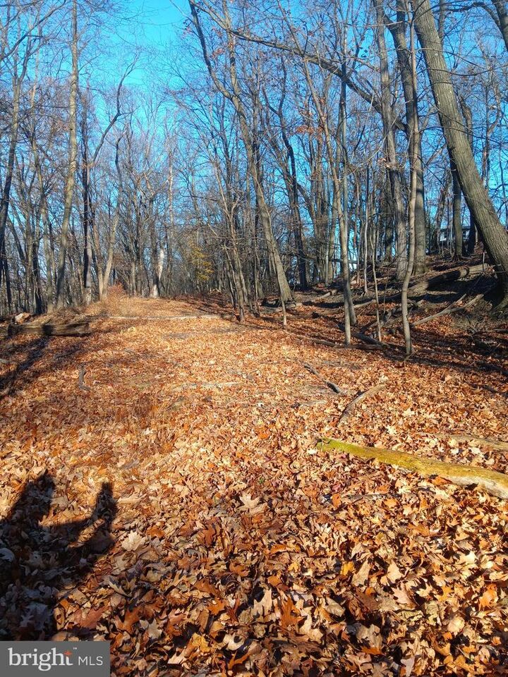 Property Photo:  Gray Avenue  MD 21502 