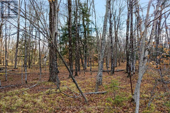 Property Photo:  Pt 1-00 Herron Mills Road  ON K0G 1K0 