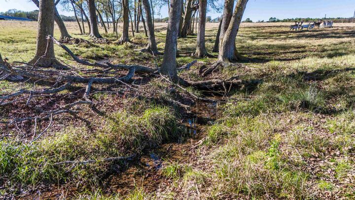 Property Photo:  Tbd County Road SE 4150  TX 75455 