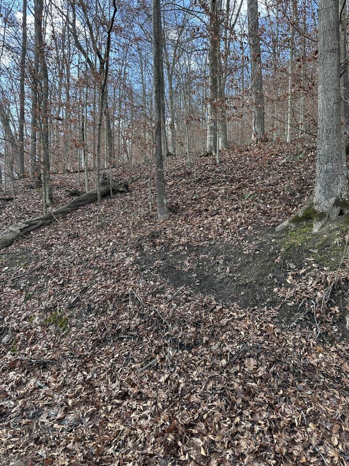 Property Photo:  Tbd North Fork Rd  KY 40380 