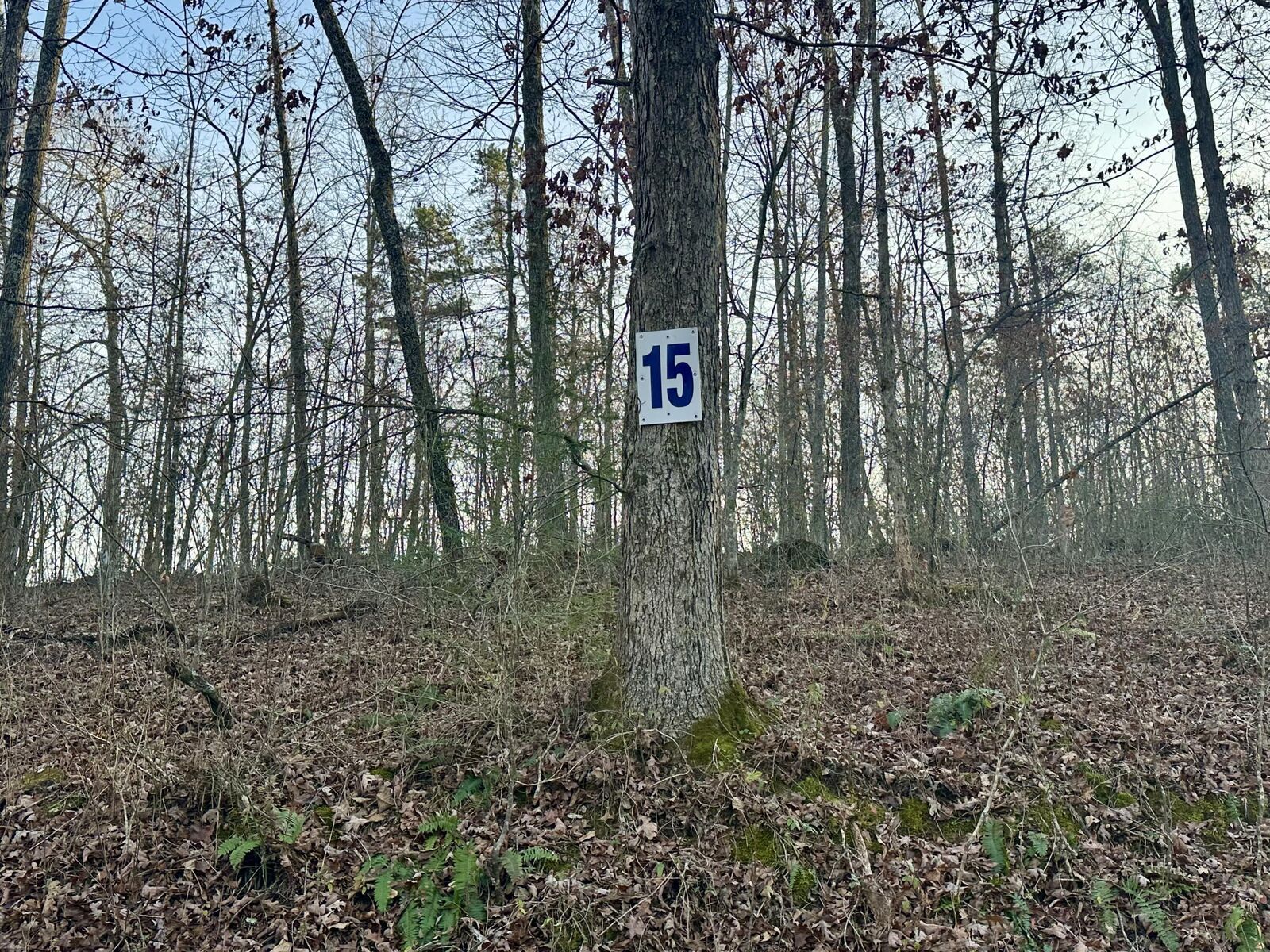 Property Photo:  Lot 15 Hensley Road  KY 40729 