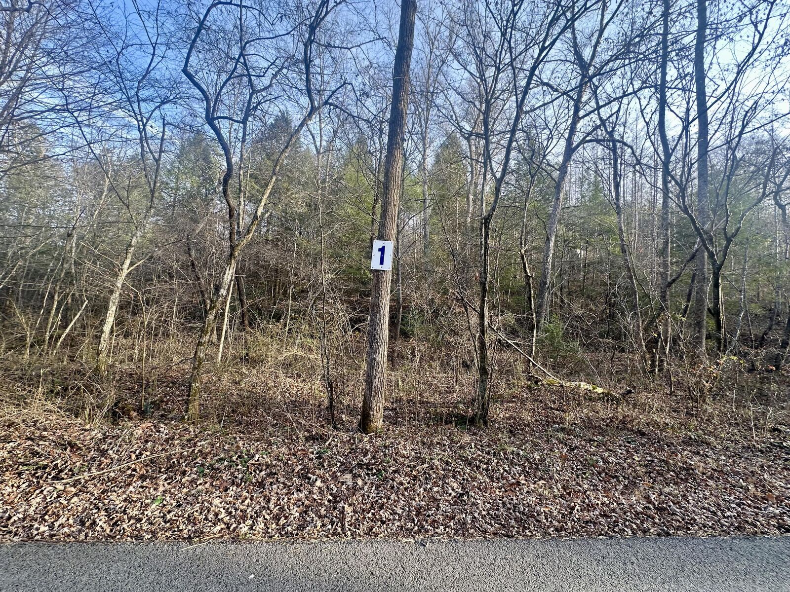 Property Photo:  Lot 1 Radford Road  KY 40729 