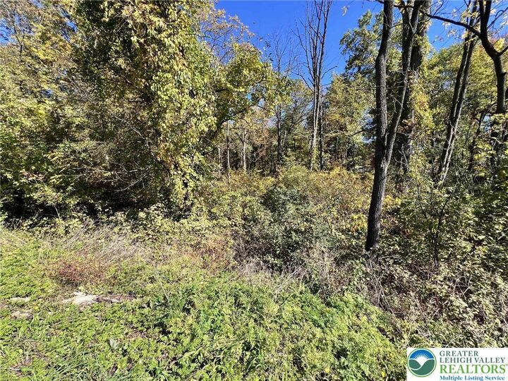 Property Photo: Pa Route 33 PA 18091