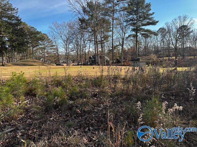 Property Photo: Lot 226 Woodmont Drive AL 35175