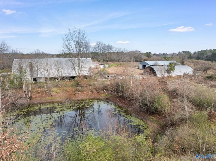 Property Photo:  275 Beard Road  AL 35640 