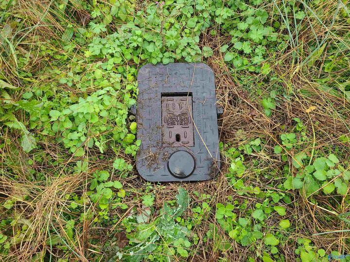 Property Photo: 27287 Oakcrest Drive AL 35613