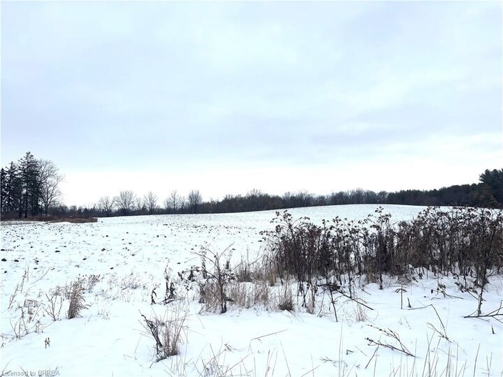 Property Photo:  248 Old Onondaga Road E  ON N3R 0C1 