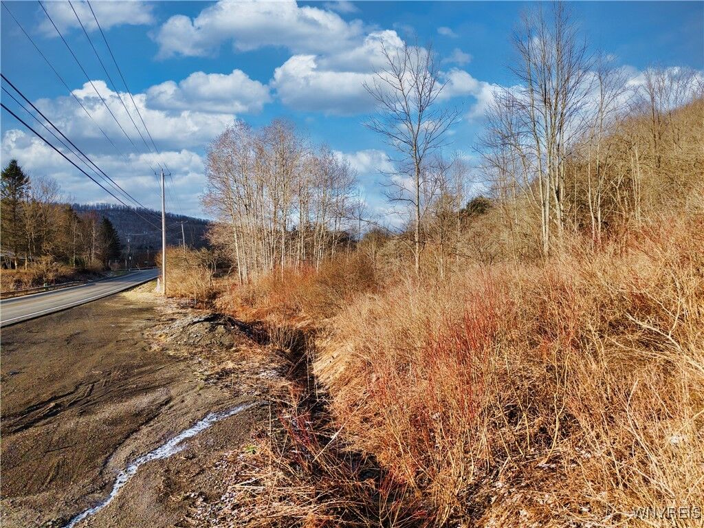 Property Photo: 6000 Nys Rte 242 Lot #7 NY 14731
