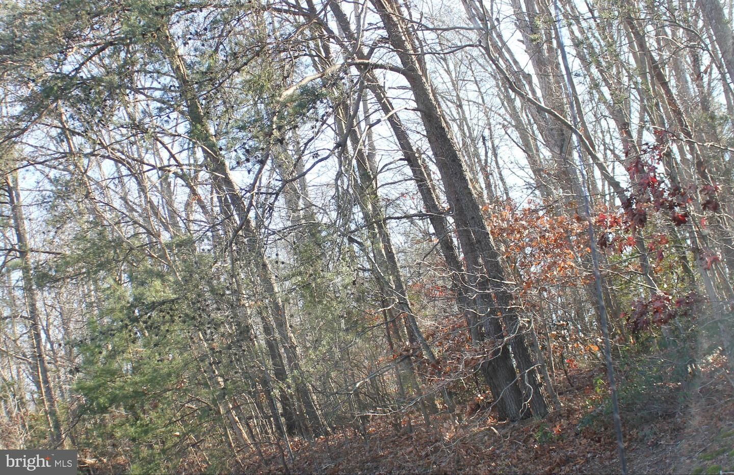 Property Photo:  25833 Three Notch Road  MD 20659 