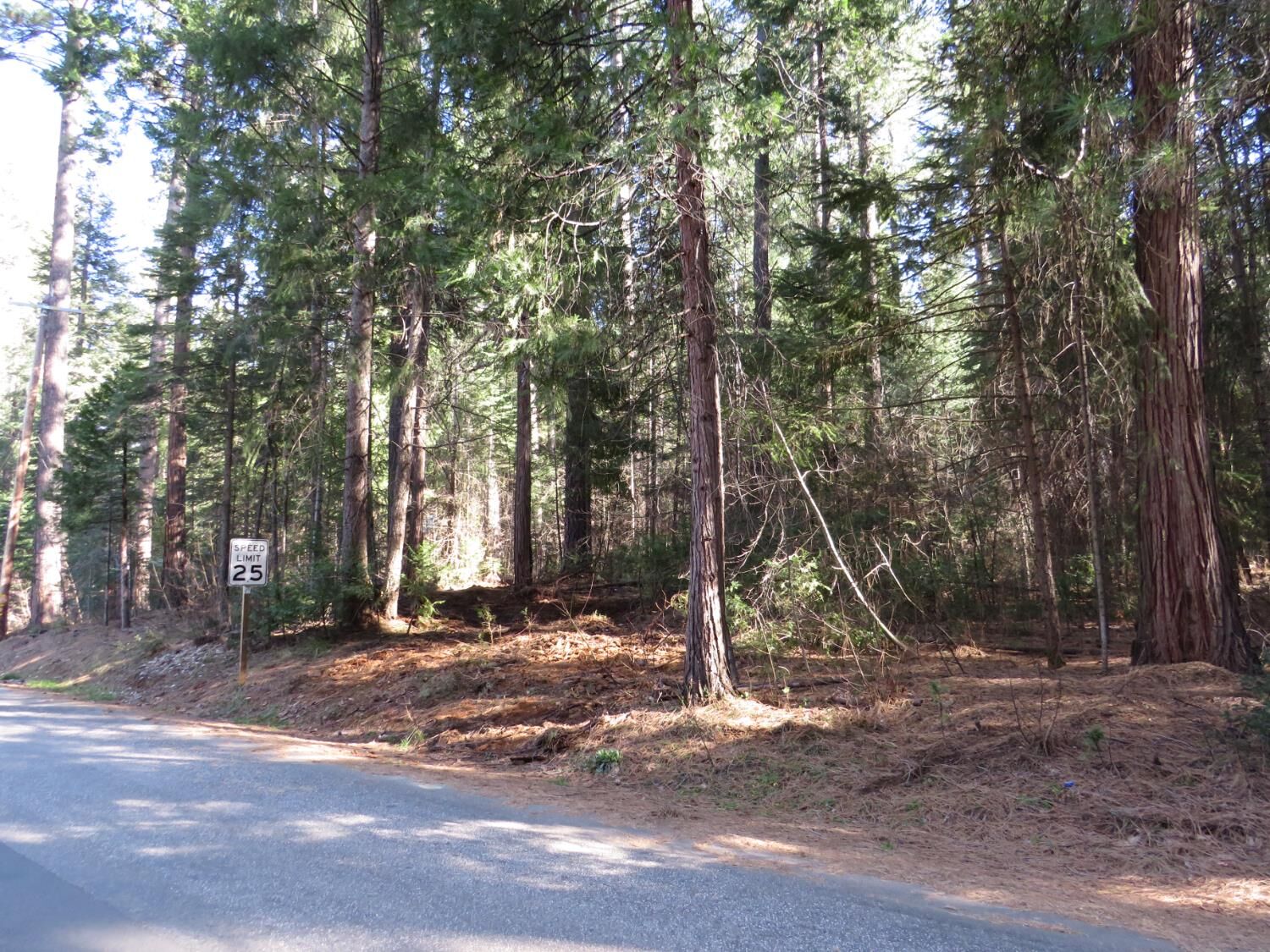 Property Photo:  0 Alta Power House Road  CA 95701 