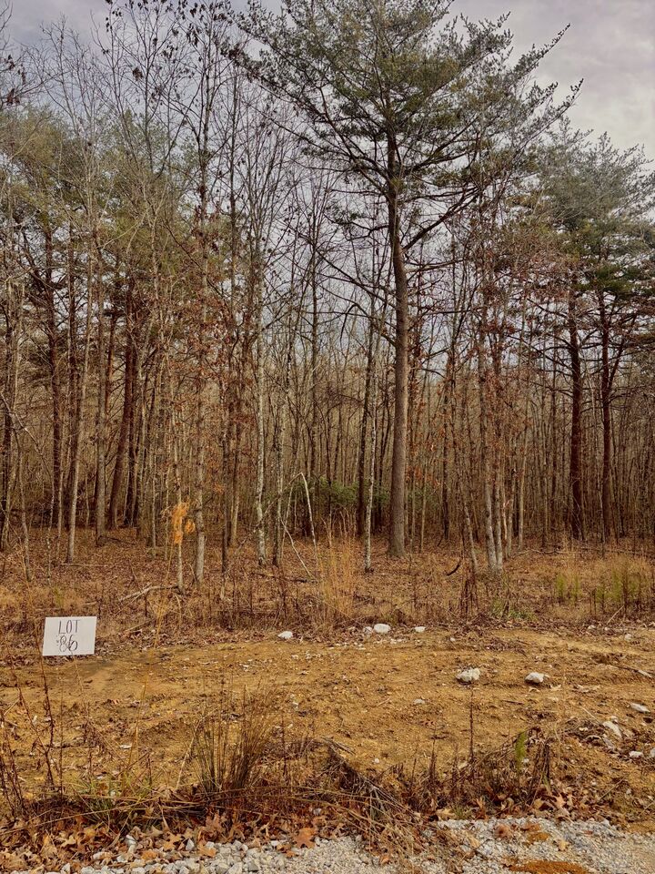 Property Photo:  0 Summerfield Road  TN 37356 