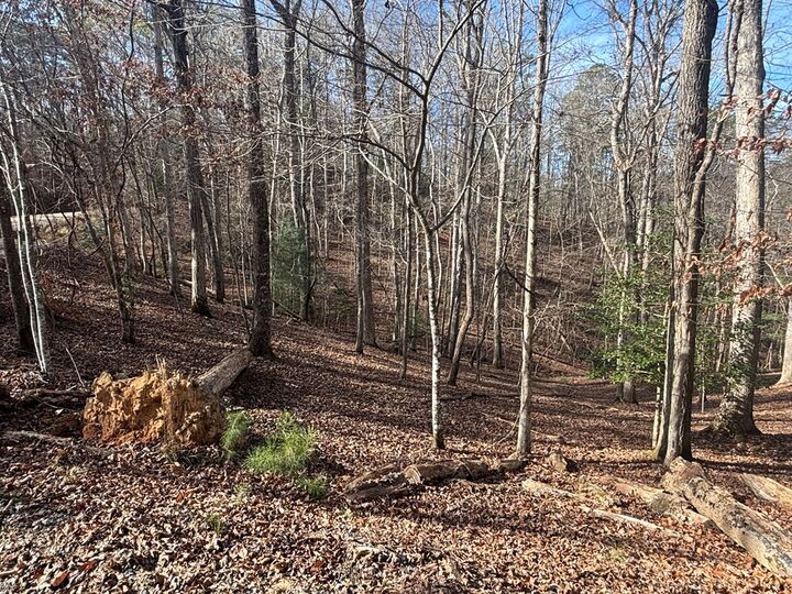 Property Photo:  Lt 727 Armor Court  GA 30540 