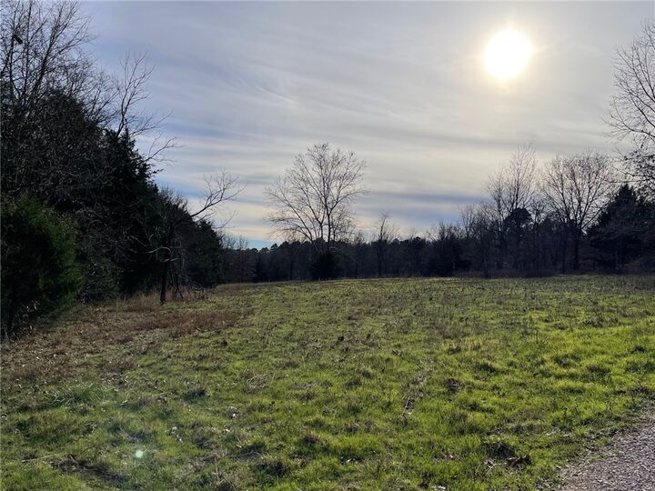 Property Photo:  Falcon Lane  AR 72616 