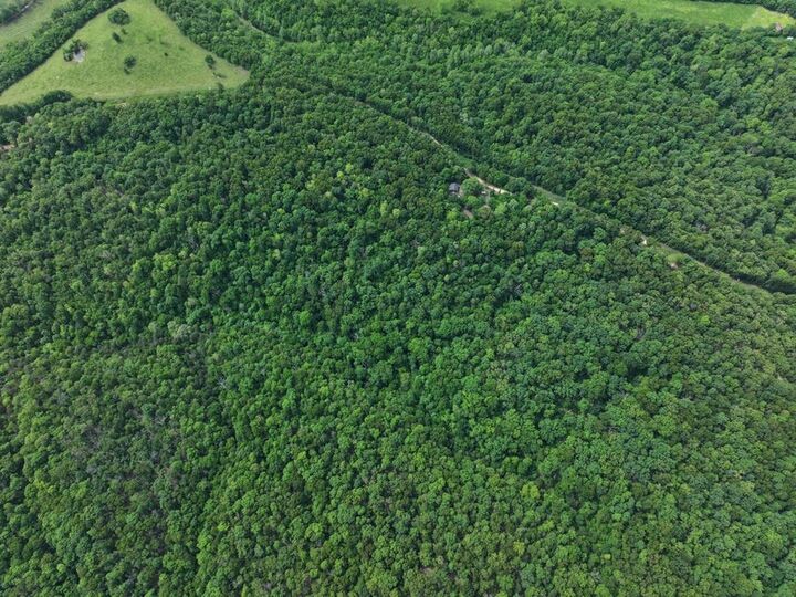 Property Photo:  1619A Stone Road  MO 64854 