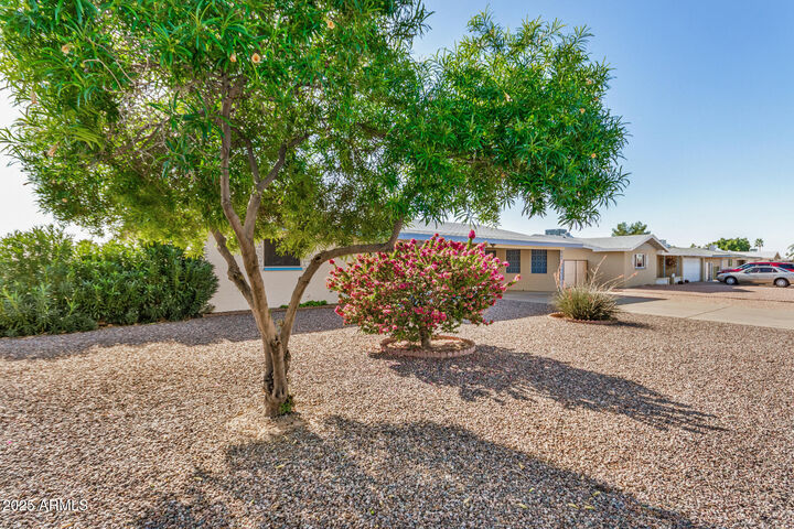 Property Photo: 6449 E Adobe Road AZ 85205