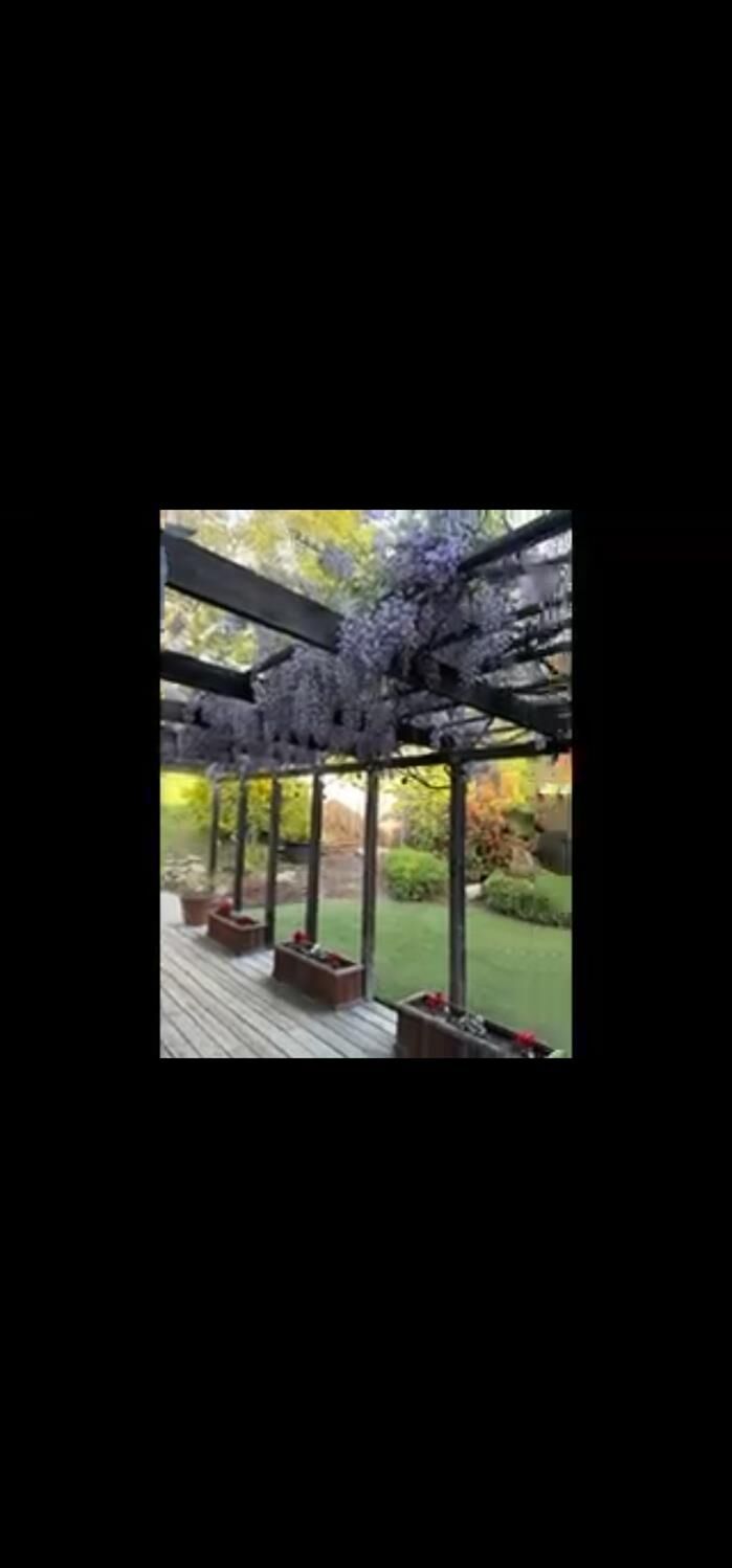 Property Photo:  1182 Easley Drive  CA 94517 