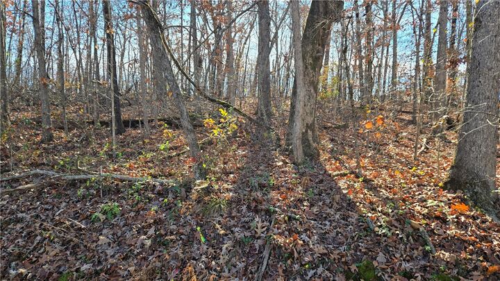 Property Photo:  Lot 8 Embleton Drive  AR 72714 