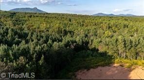 Property Photo:  000 Caudle Road  NC 27043 