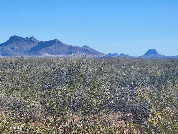 Property Photo:  Xxxx E Cll Principal -- 258  AZ 85607 