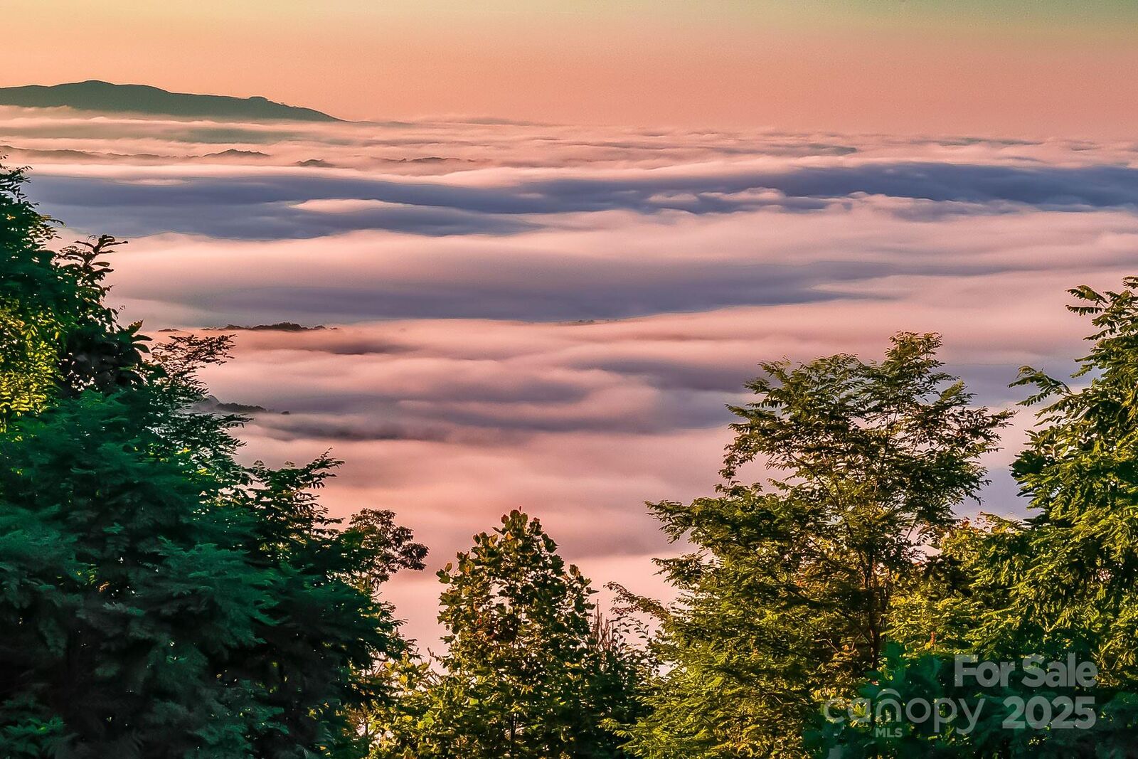 Property Photo: 0 Shoal Ridge 1 NC 28167