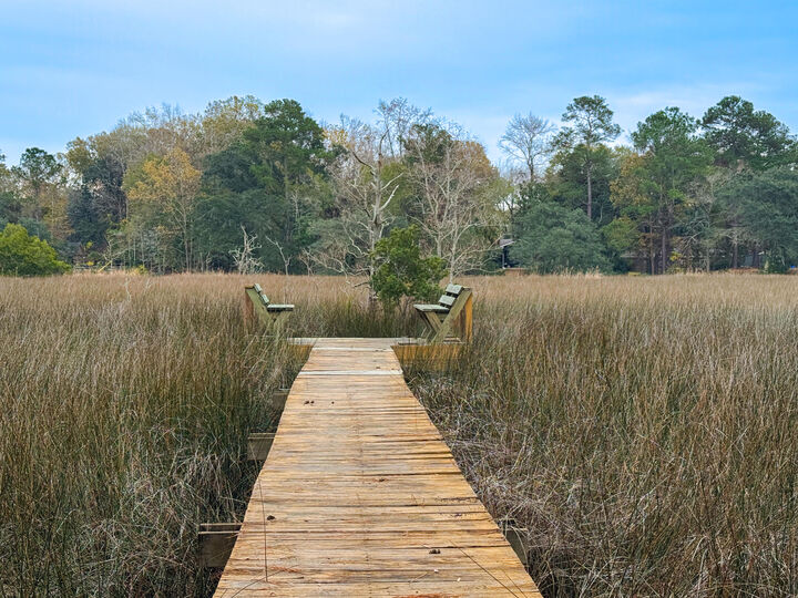 Property Photo:  2110 Marsh Flower Lane  SC 29414 