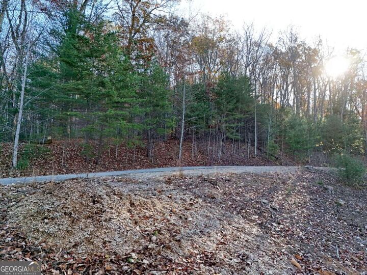 Property Photo: Lt 20&Amp21 Red Twig Road GA 30512