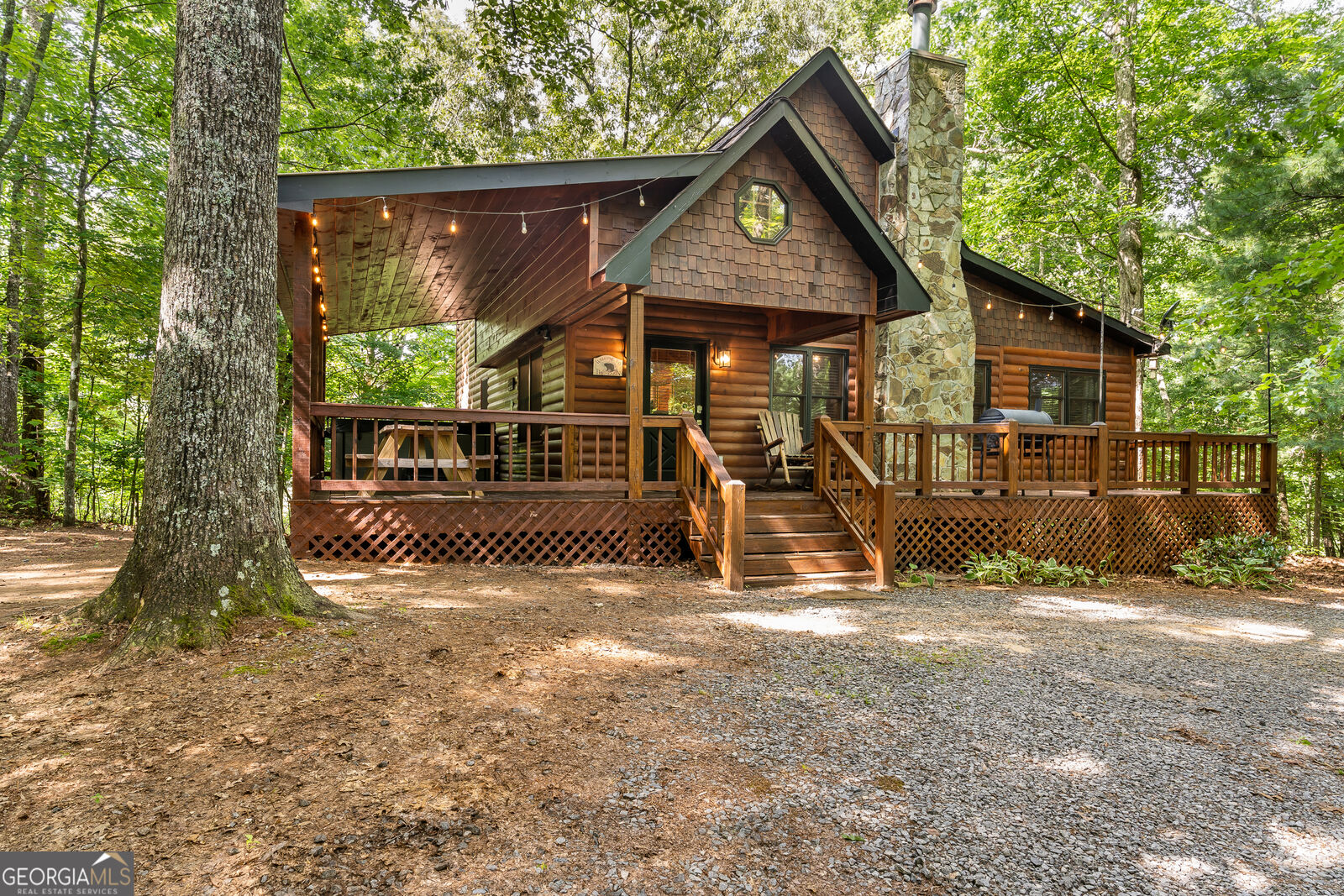 Property Photo:  162 Little Falls Drive  GA 30559 