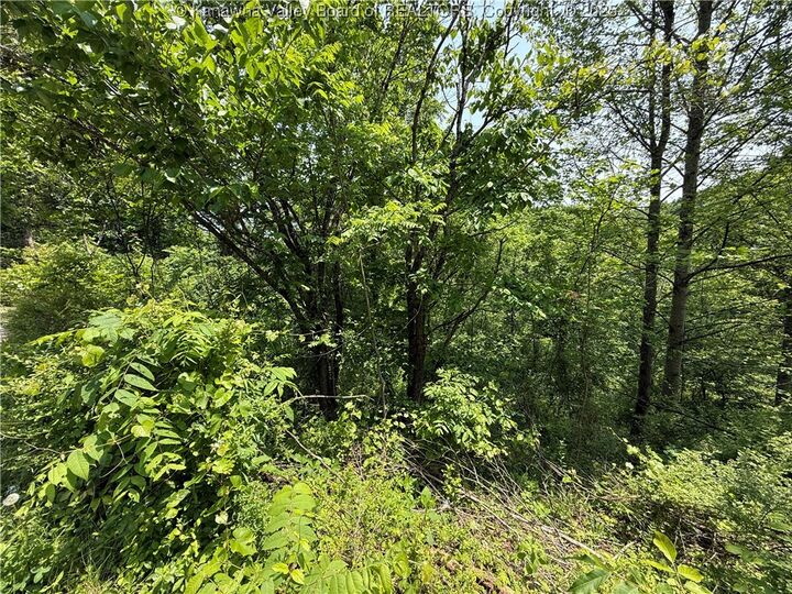 Property Photo: 160 Pine Street WV 25311