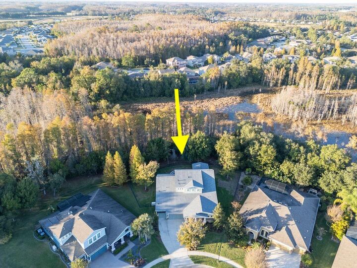 Property Photo: 19331 Ranchview Court FL 34638