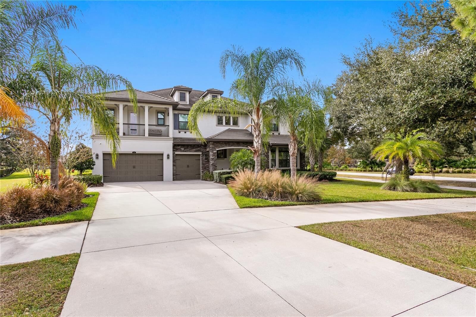 Property Photo:  2517 Cordoba Ranch Boulevard  FL 33559 