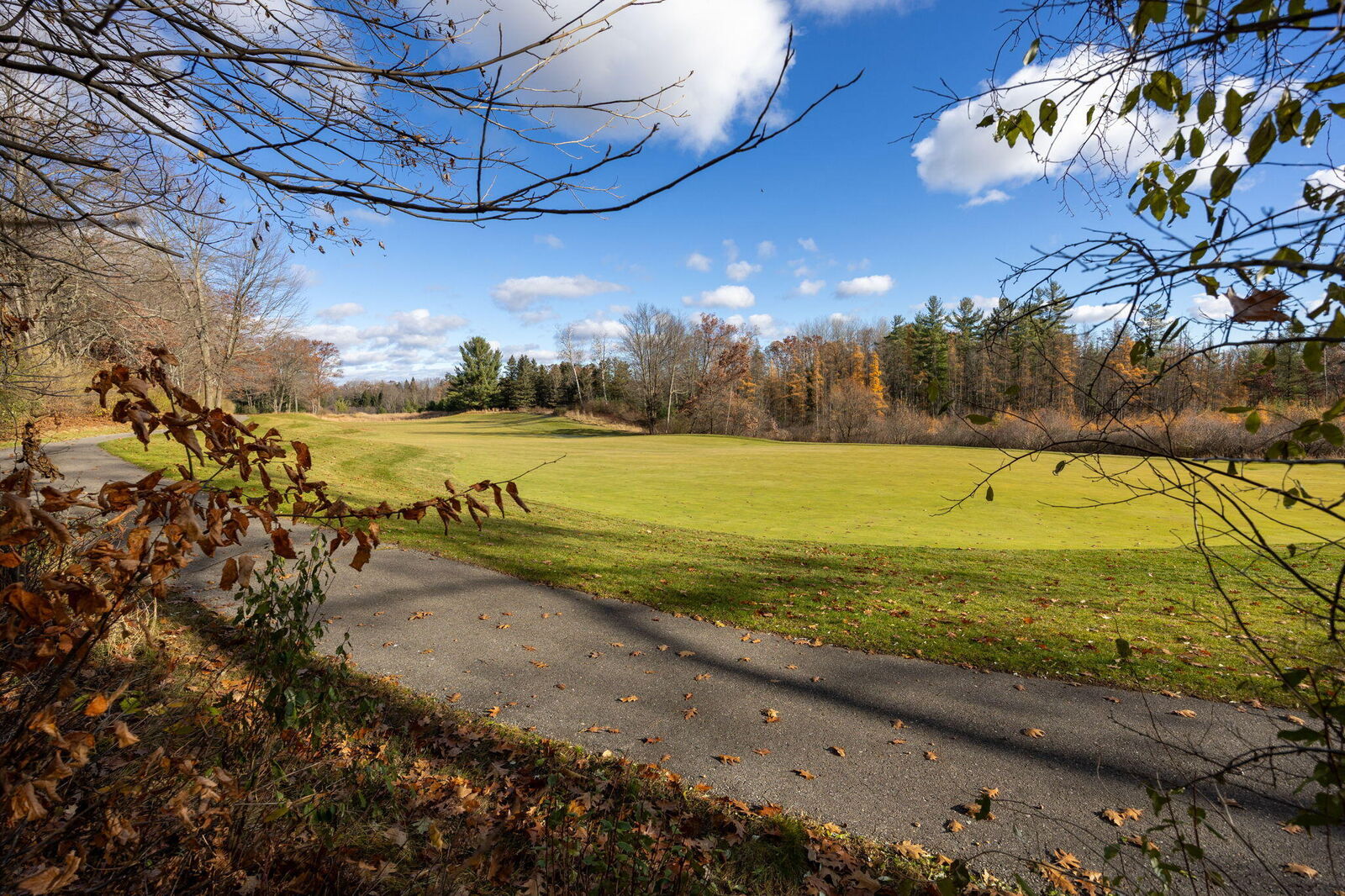 Property Photo: 6054 Dublin Drive MI 49346