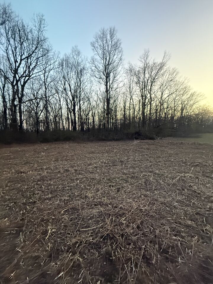 Property Photo:  0 Rushing Road  TN 38456 