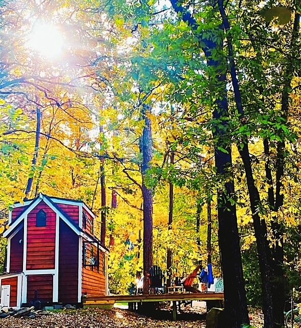 Property Photo:  342 Lightning Ridge Road  AR 72632 