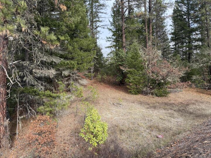 Property Photo: 0 E Evans Creek Road 10149531 OR 97503