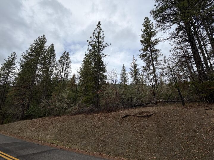Property Photo: 0 E Evans Creek Road 10149531 OR 97503