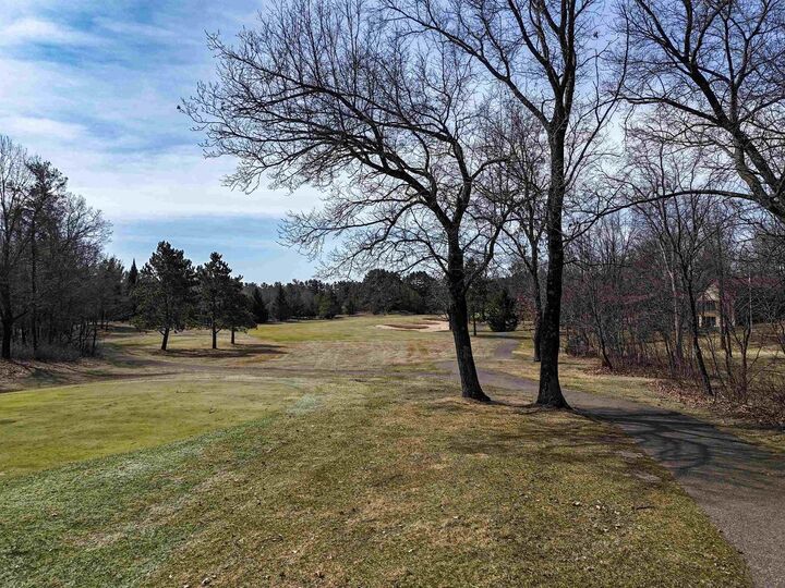 Property Photo: 456 Tomahawk Trail WI 54457