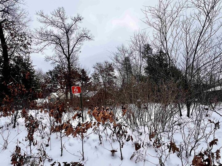 Property Photo:  456 Tomahawk Trail  WI 54457 