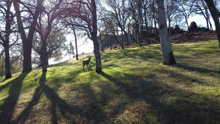 Property Photo:  23021 Darkhorse Drive  CA 95602 